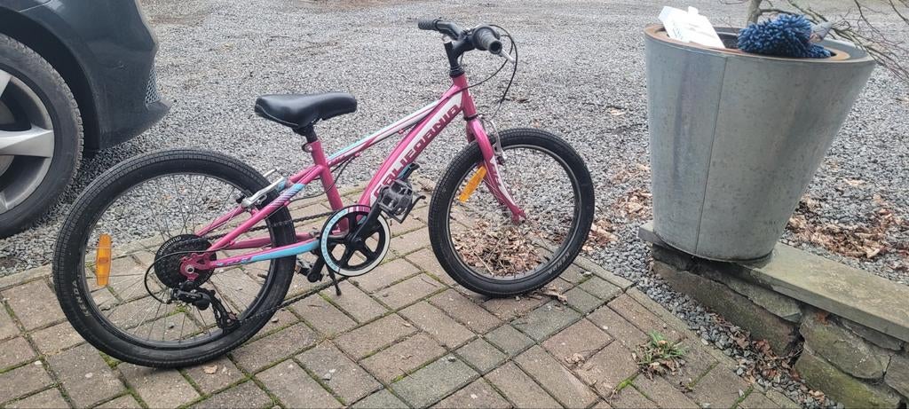 Velo bh 20 pouces, Enlèvement ou Envoi