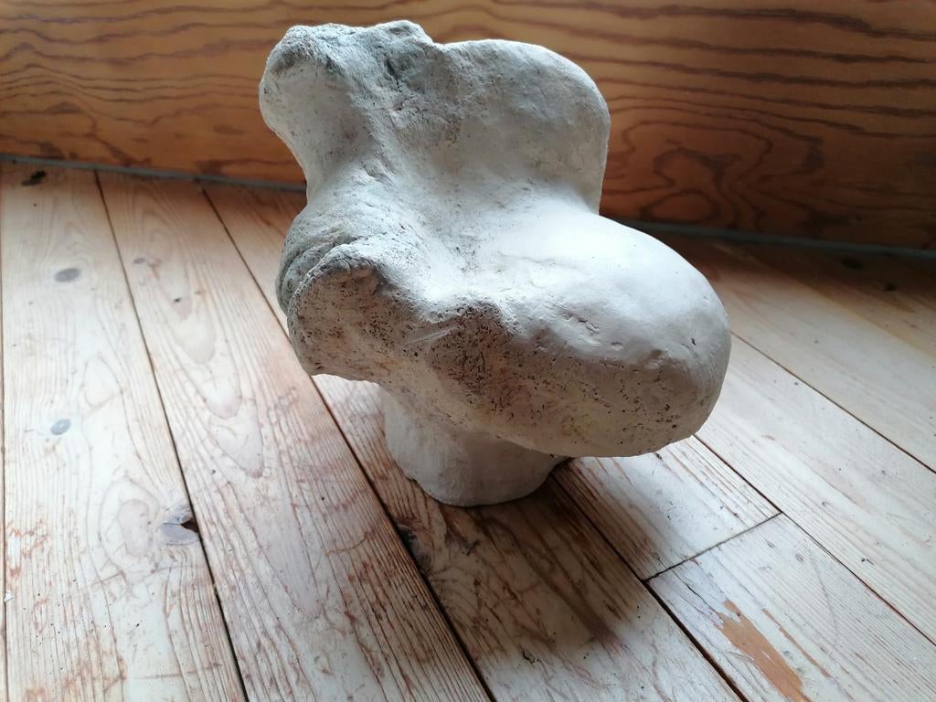 Sculpture d'inspiration osseuse, Enlèvement