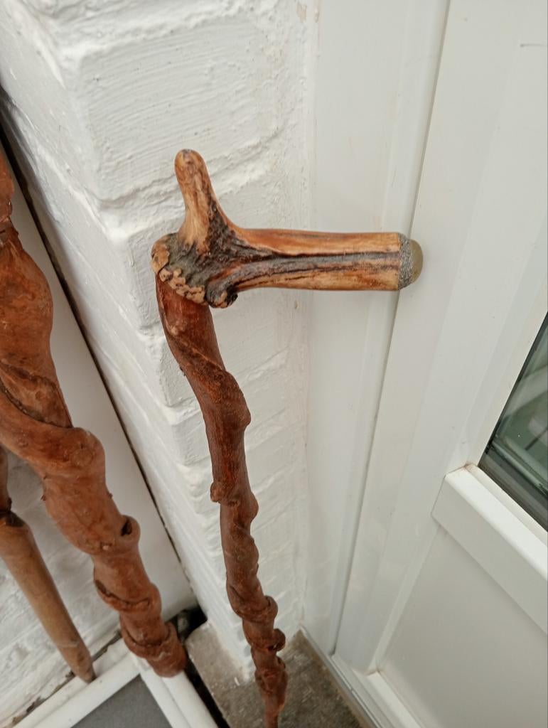 Canne bois tortueux 84 cm