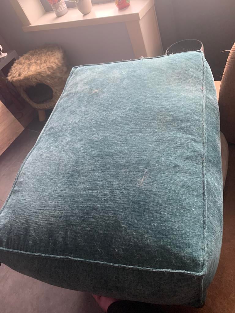 Hondenkussen, Dieren en Toebehoren, Ophalen, Zo goed als nieuw