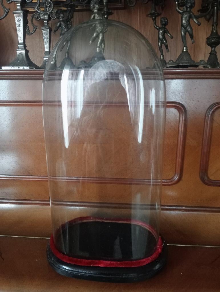 Ovale glazen stolp, Huis en Inrichting, Woonaccessoires | Stolpen, Ophalen, Zo goed als nieuw