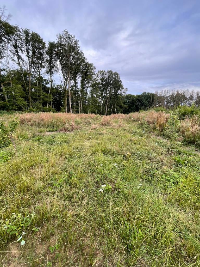 Terrain à louer – idéal apiculture, bois & nature, Immo, Messancy, 1500 m² ou plus