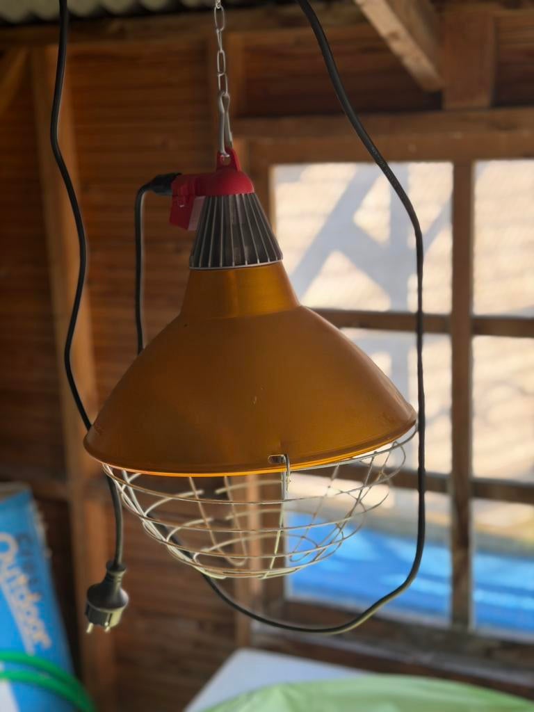 Armaruur interhaet met 50%schakelaar, Ophalen, Nieuw, Volière