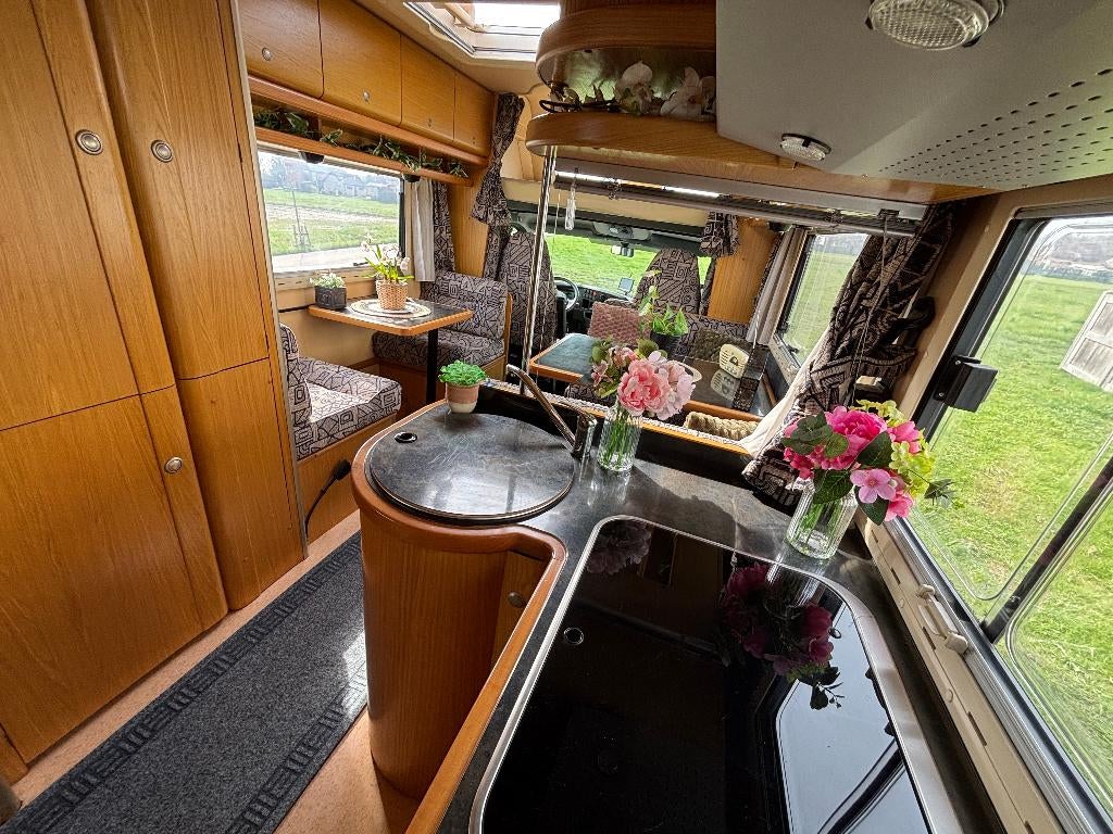 Kwaliteitsvolle Laika mobilhome  IVECO Daily 35C130, Alkoof, Ringverwarming, Treinzit, Afzuigkap