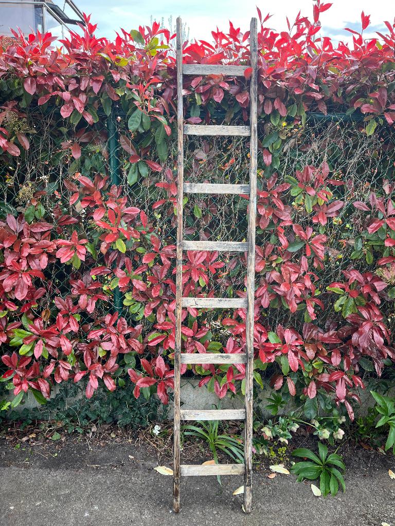 Houten ladder, Ophalen