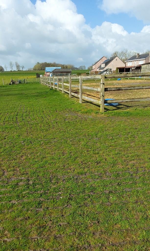 Houten omheining., Enlèvement, Utilisé