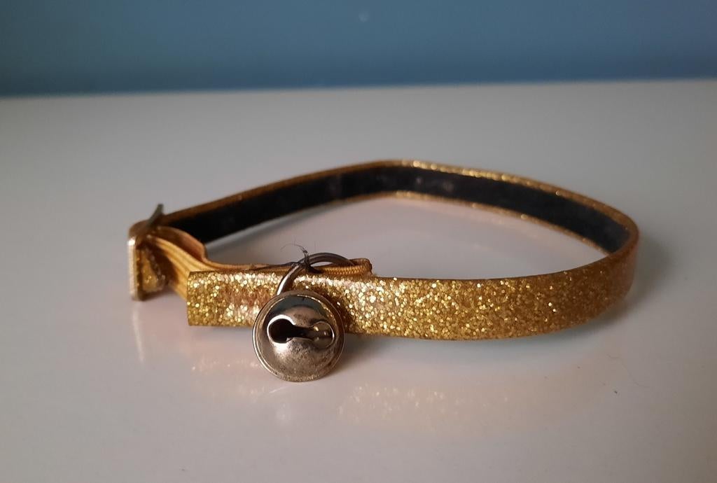 Collier pour chat/chien, Enlèvement ou Envoi