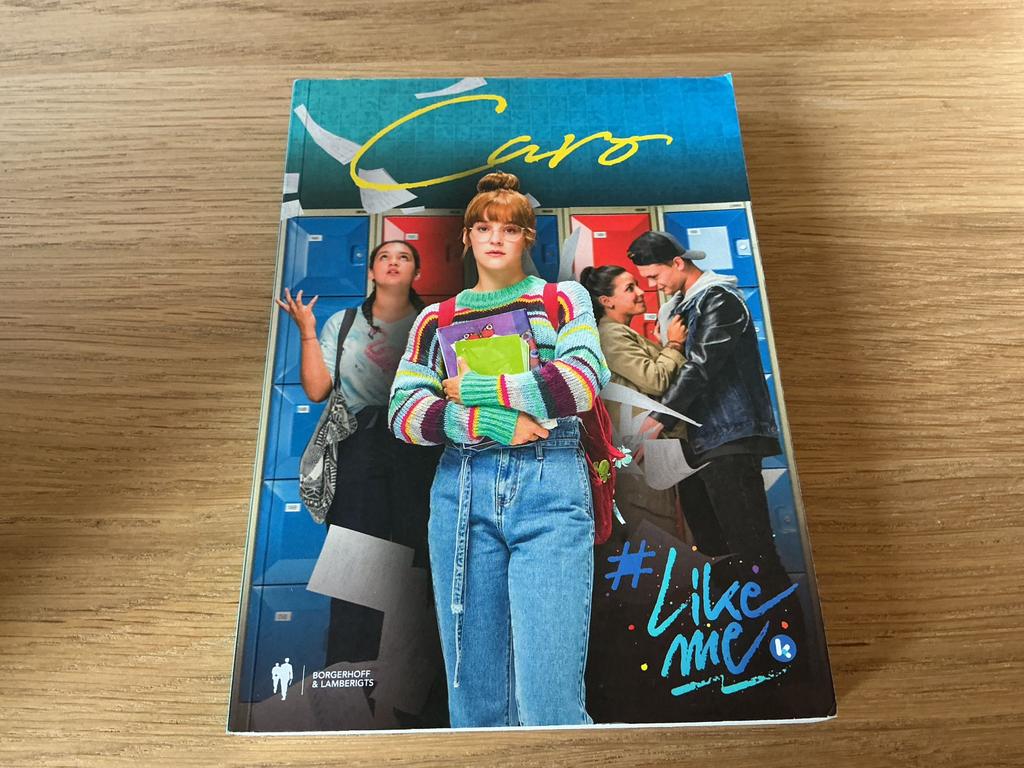 Jan Ruysbergh - Caro - goede staat, Ophalen, Gelezen, Jan Ruysbergh