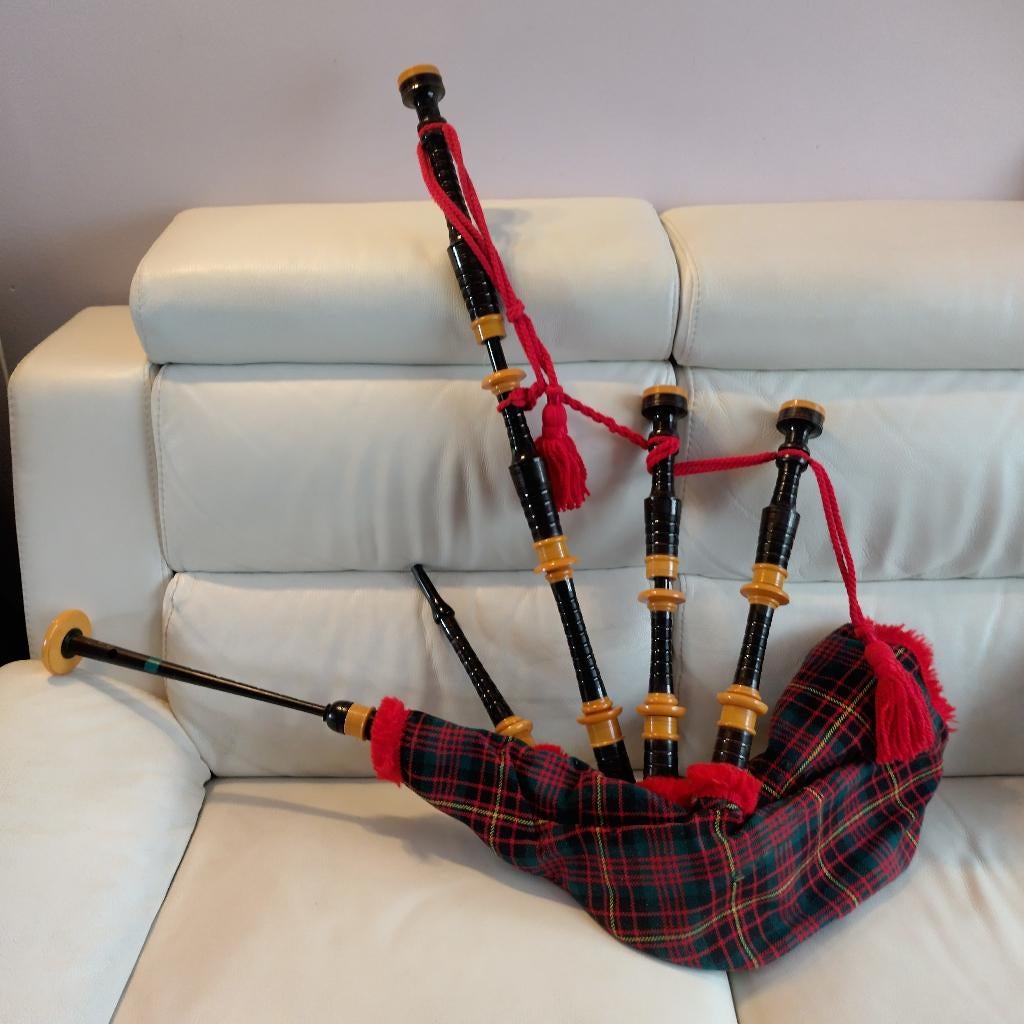 Cornemuse bagpipe, Musique & Instruments, Enlèvement