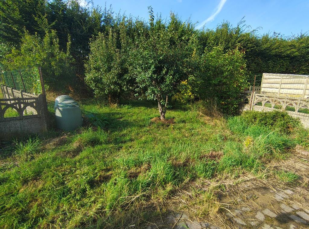 Tuinman in bijberoep, Services & Professionnels, Jardiniers & Paveurs, Grillage ou Palissade, Entretien de jardins ou Taille