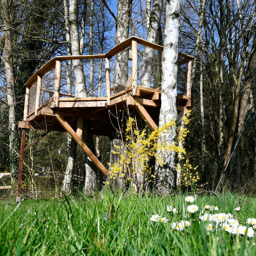 Boomhutten en boomterrassen, Kinderen en Baby's, Speelgoed | Buiten | Speelhuisjes, Nieuw, Hout, Verzenden