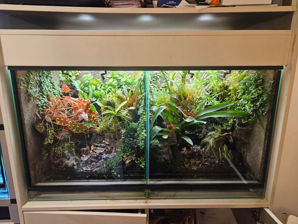 Terrarium Rana, Animaux & Accessoires, Reptiles & Amphibiens | Accessoires, Enlèvement, Éclairage