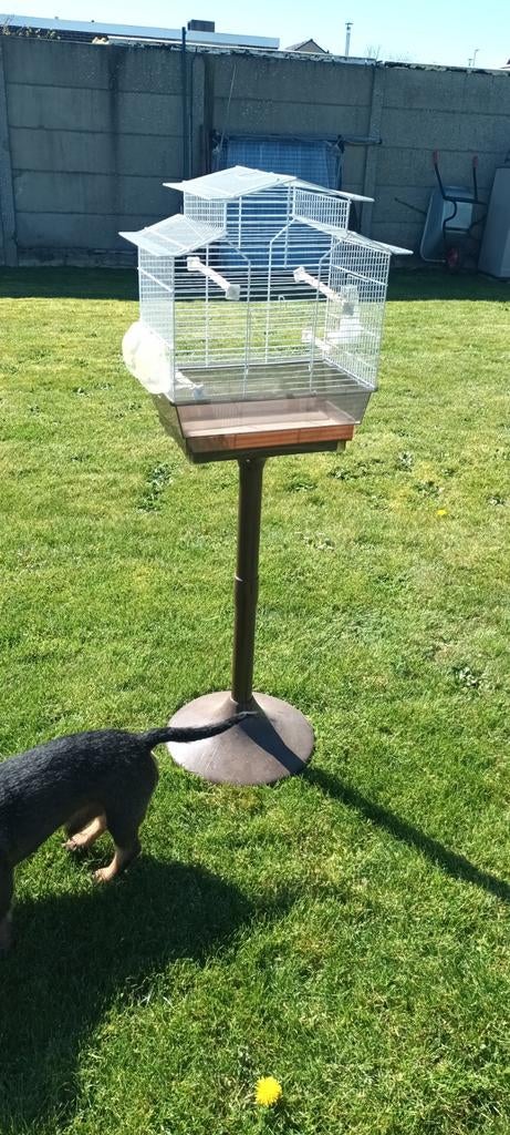 Vogelkooi 20€, Jardin & Terrasse, Maisons & Bains d'oiseaux, Enlèvement