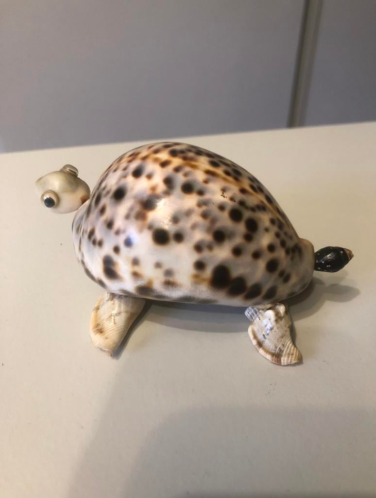 Tortue collection en coquillages, Enlèvement ou Envoi, Comme neuf