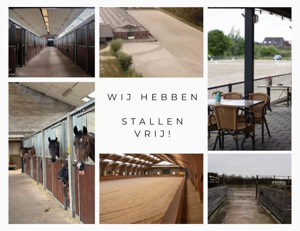 pensionstalling vrij/aangeboden nabij Tilburg, Dieren en Toebehoren, Stalling, 2 of 3 paarden of pony's