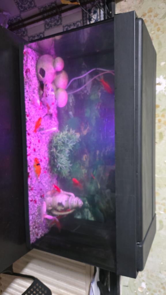 Aquaruim, Informatique & Logiciels, Ordinateurs de bureau