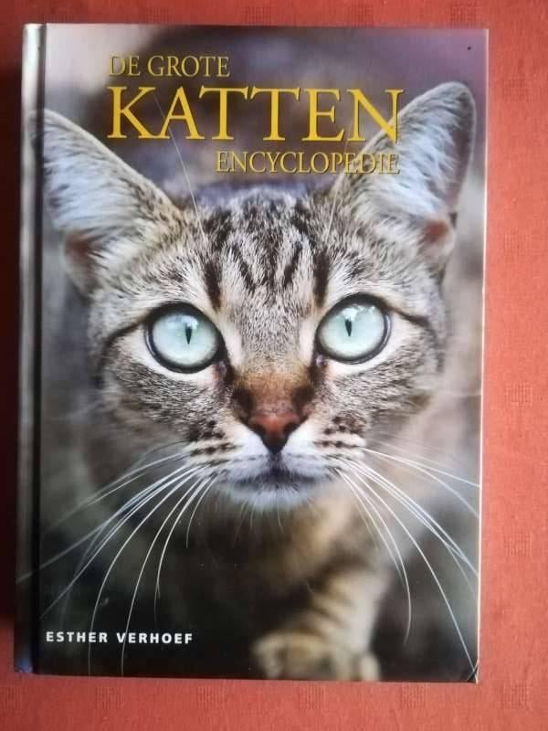 Boeken over katten : encyclopedieën, voeding + verzorging, Ophalen of Verzenden, Gelezen, Katten, Ester Verhoef