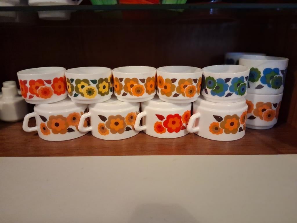 Kopjes: Lotus arcopal, Ophalen of Verzenden