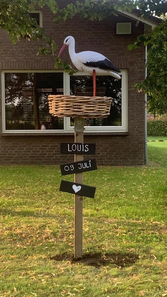 TE HUUR geboorte nest ooienvaar €6,50 p/w, Ophalen, Gebruikt, Geboortebord