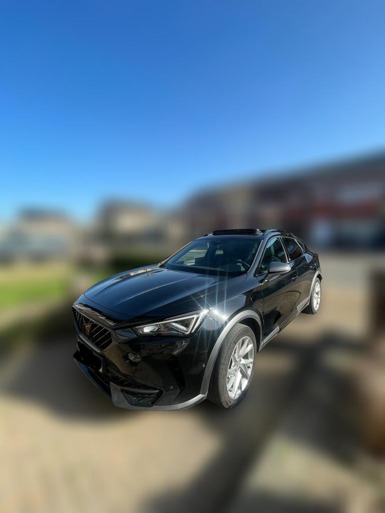 Overname Operational Lease Cupra Formentor, Autos, Cupra, Achat, Entreprise, Formentor, Entretenue par le concessionnaire