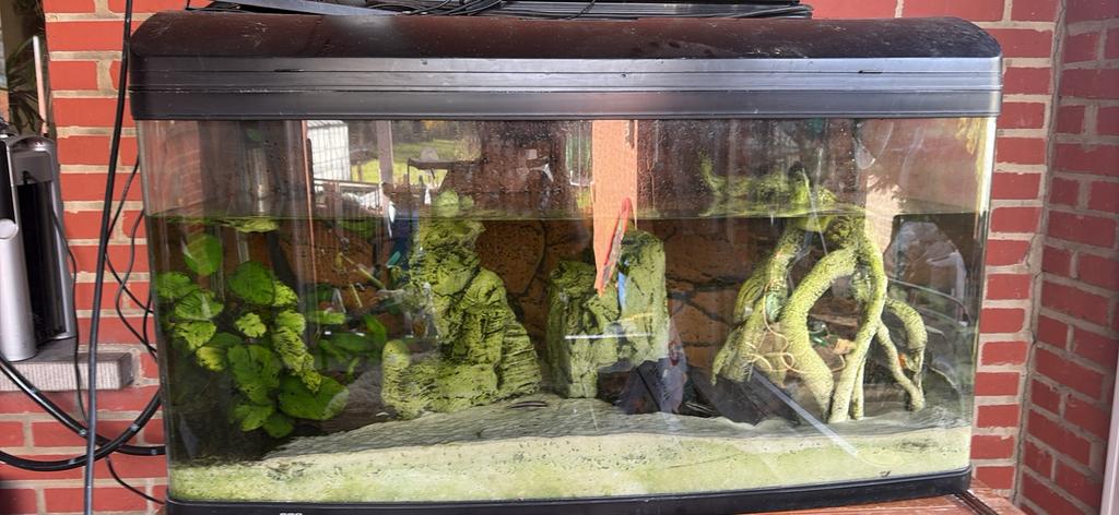 Aquarium, Dieren en Toebehoren, Ophalen, Zo goed als nieuw, Gevuld zoetwateraquarium