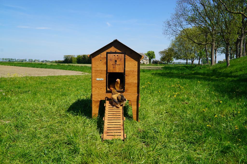Trespa Kippenhok Cucciolotta Classic XL | Op Pootjes, Enlèvement ou Envoi, Neuf, Poulailler