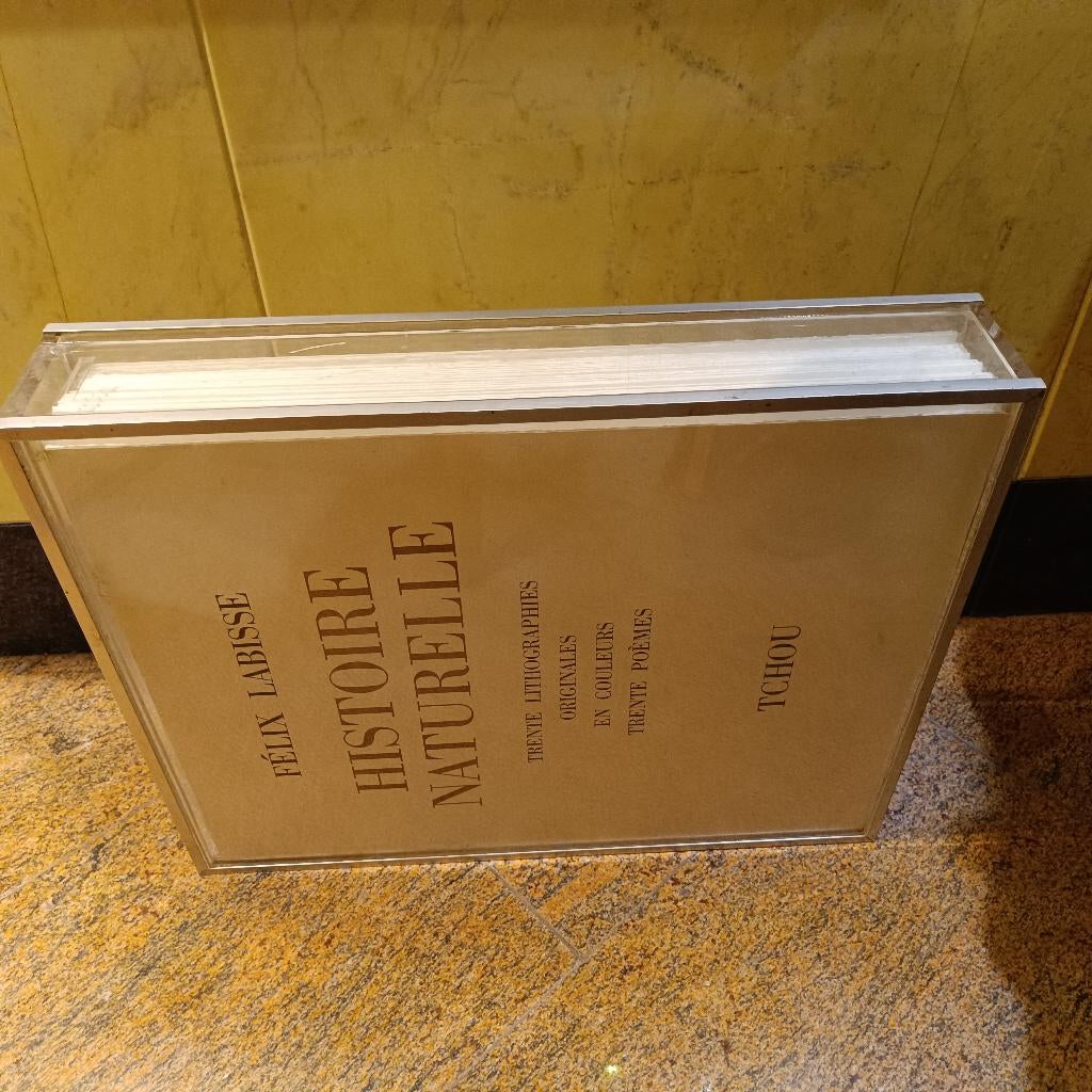 30 litoghrapieën van Felix Labisse in plexi-cassette boek., Ophalen of Verzenden