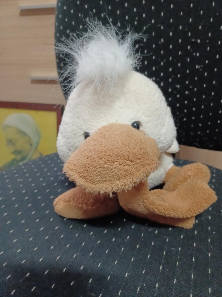 Pluche eend, Ophalen of Verzenden, Nieuw, Eend