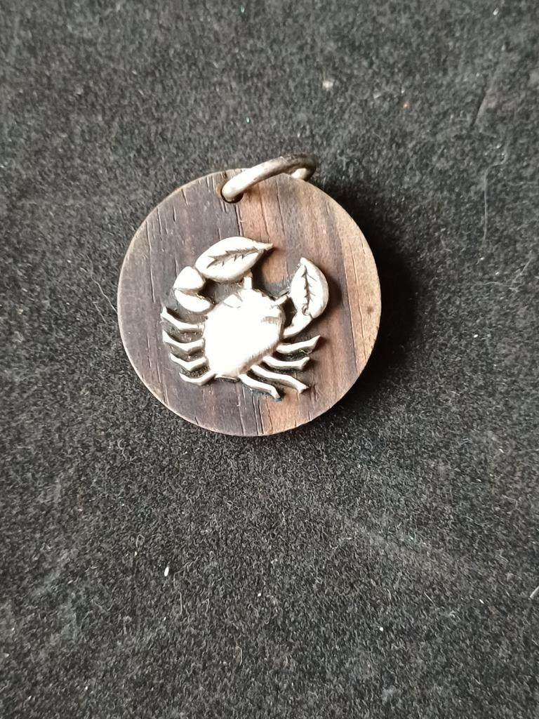 Mooi horoscoop hangertje kreeft in zilver en een houten plaa, Handtassen en Accessoires, Ophalen, Zilver