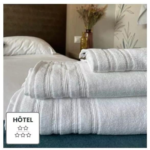 25 Eponges Blanche Double fils PROCLAS 50x90cm, Maison & Meubles, Enlèvement, Comme neuf, Blanc, Serviette