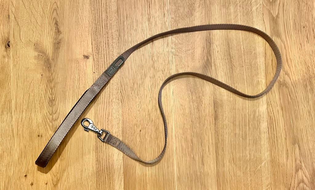 Hondenriem riem leiband goud nieuw, Ophalen of Verzenden, Nieuw, Hondenriem