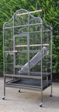 Nieuwe papegaaienkooi  stock zie al mijn zoekertjes, Enlèvement