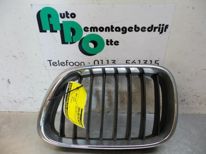 Calandre d'un BMW X5, -, 3 mois de garantie, Utilisé, -