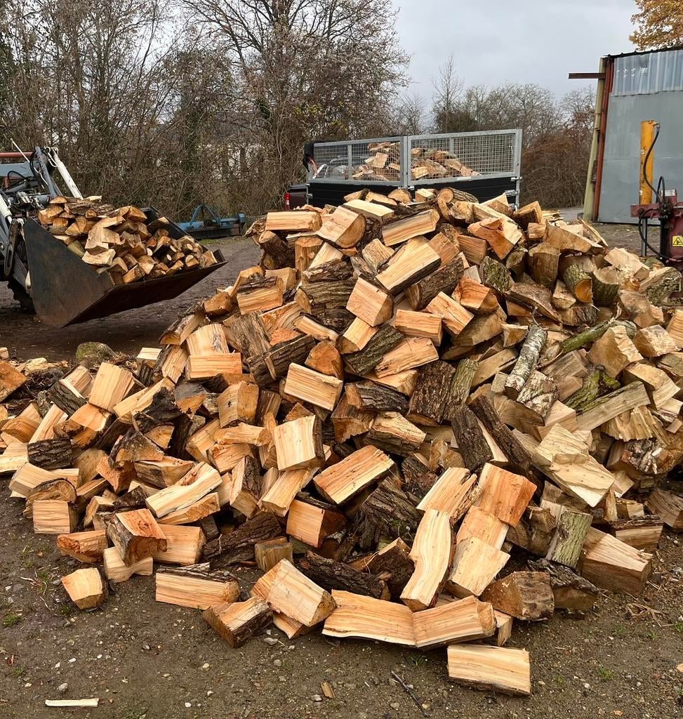 Gemengd Brandhoud, Enlèvement, Bûches