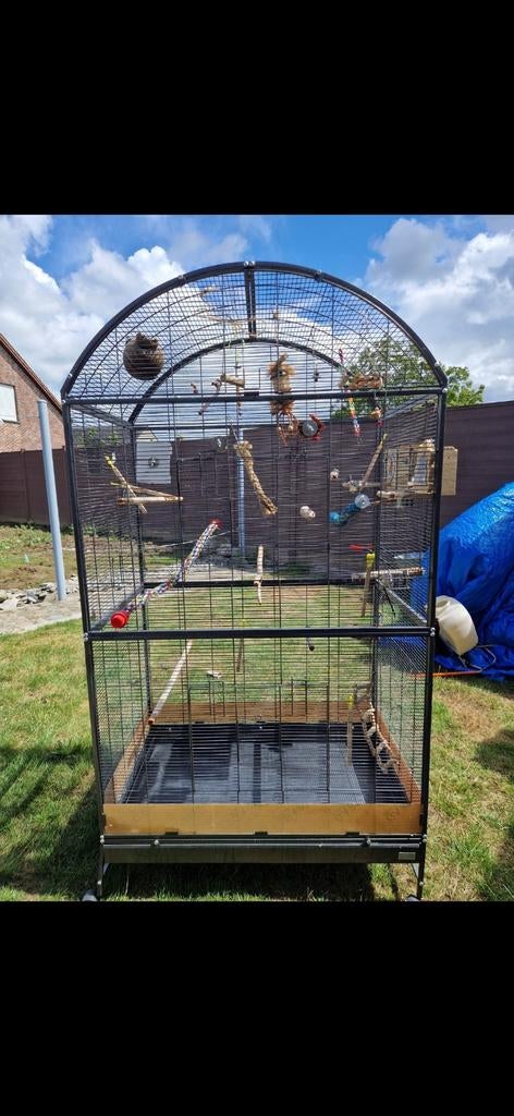 Grande cage à oiseaux, Enlèvement, Cage à oiseaux