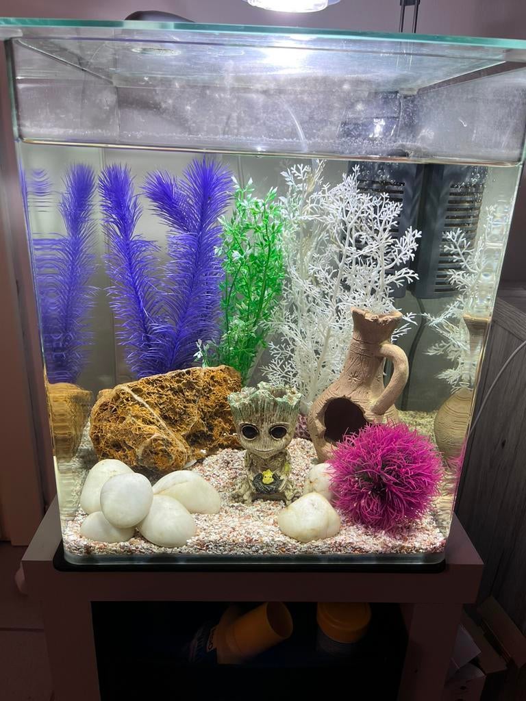 Eheim aquarium 35 liter, Enlèvement, Eheim