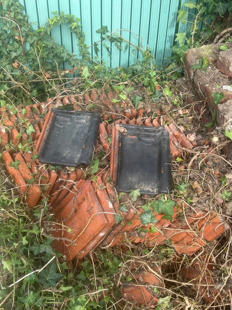 Lot de 150 tuiles Pottelberg, Ophalen, Dakpannen