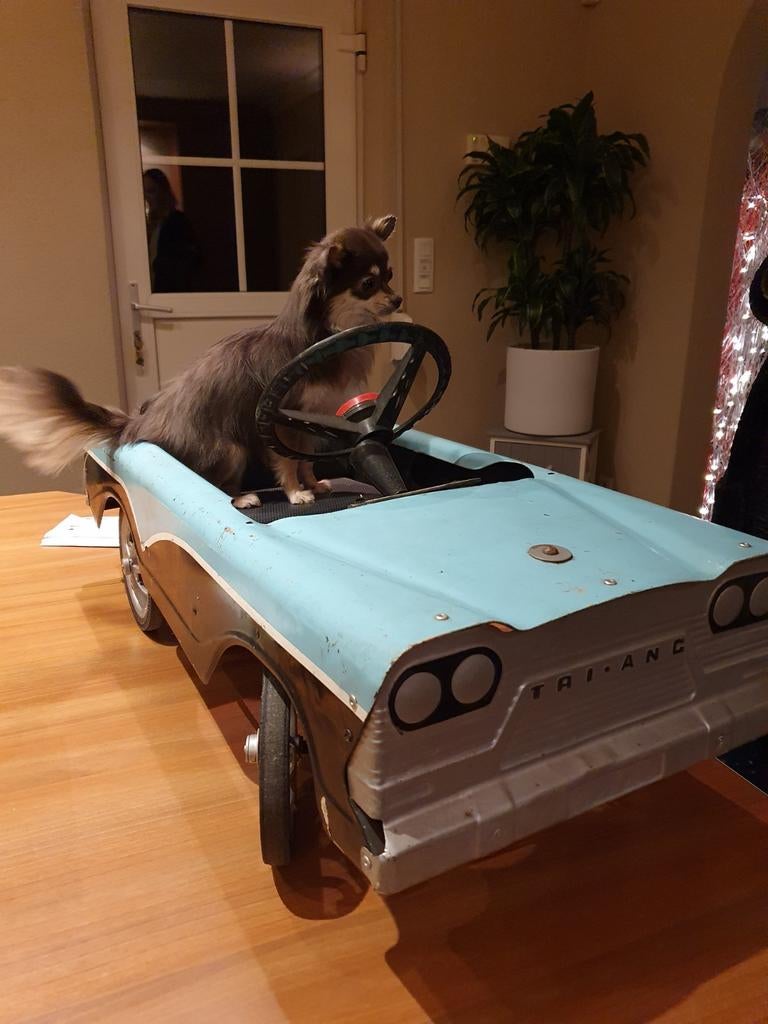 Trapauto Tri-ang, Antiquités & Art, Antiquités | Jouets, Enlèvement