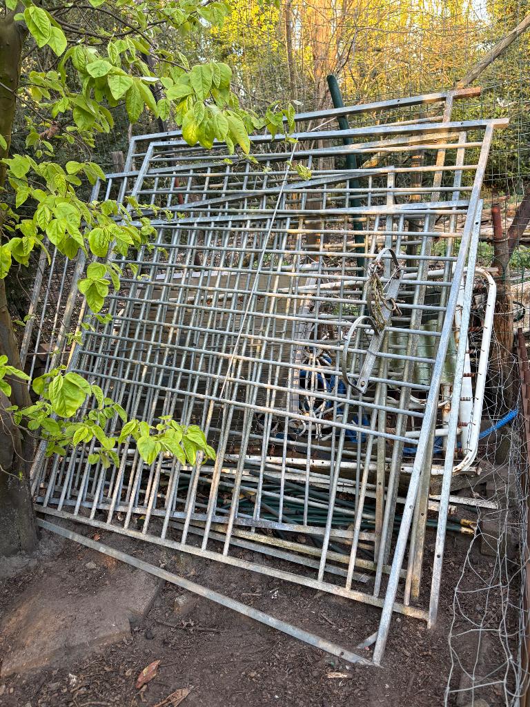 Ijzer hondenhok, Ophalen, Hondenhok