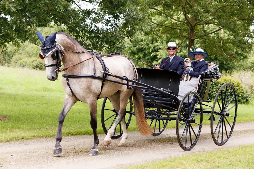 Authentieke Goddard Buggy, Dieren en Toebehoren, Ophalen, Gebruikt, Overige soorten