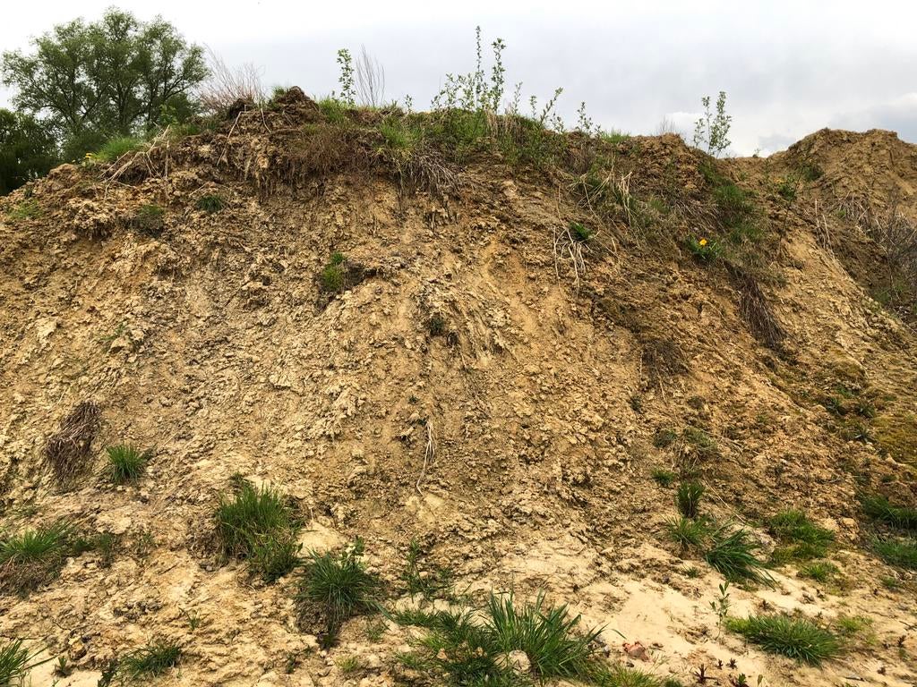 AANVULGROND, Tuin en Terras, Aarde en Mest, Ophalen, Tuinaarde