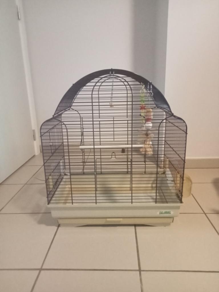 Vogelkooi op metalen staander imac, Dieren en Toebehoren, Vogels | Hokken en Kooien, Gebruikt, Vogelkooi, Metaal, Ophalen