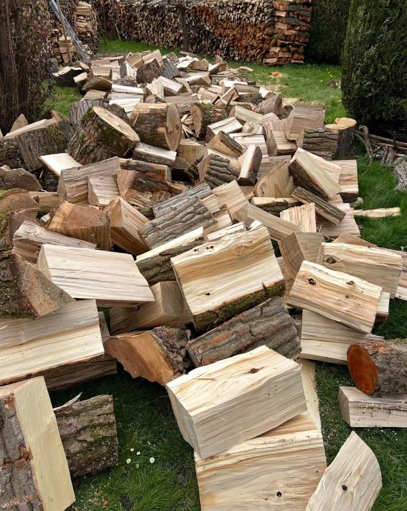 Bois de chauffage, 6 m³ ou plus, Enlèvement, Hêtre, Bûches