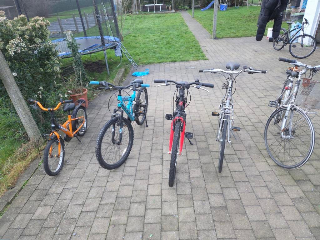 veel fietsen, Ophalen of Verzenden