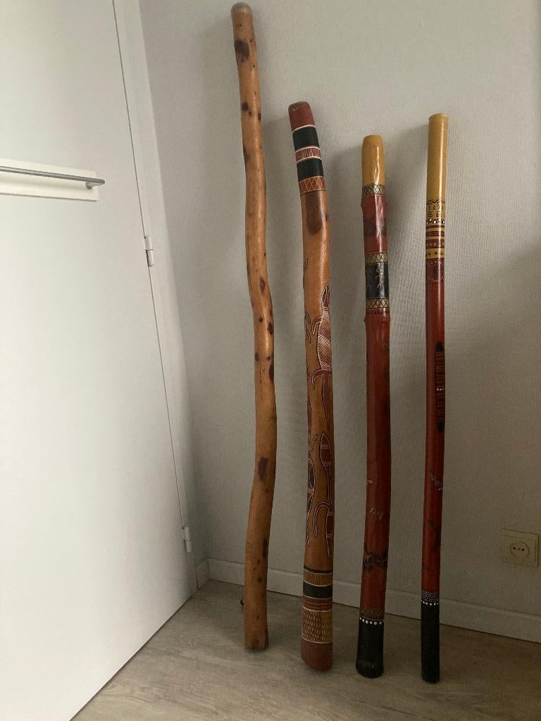 DIDGERIDOO BULLRORRER, Muziek en Instrumenten, Blaasinstrumenten | Didgeridoos, Ophalen, Zo goed als nieuw