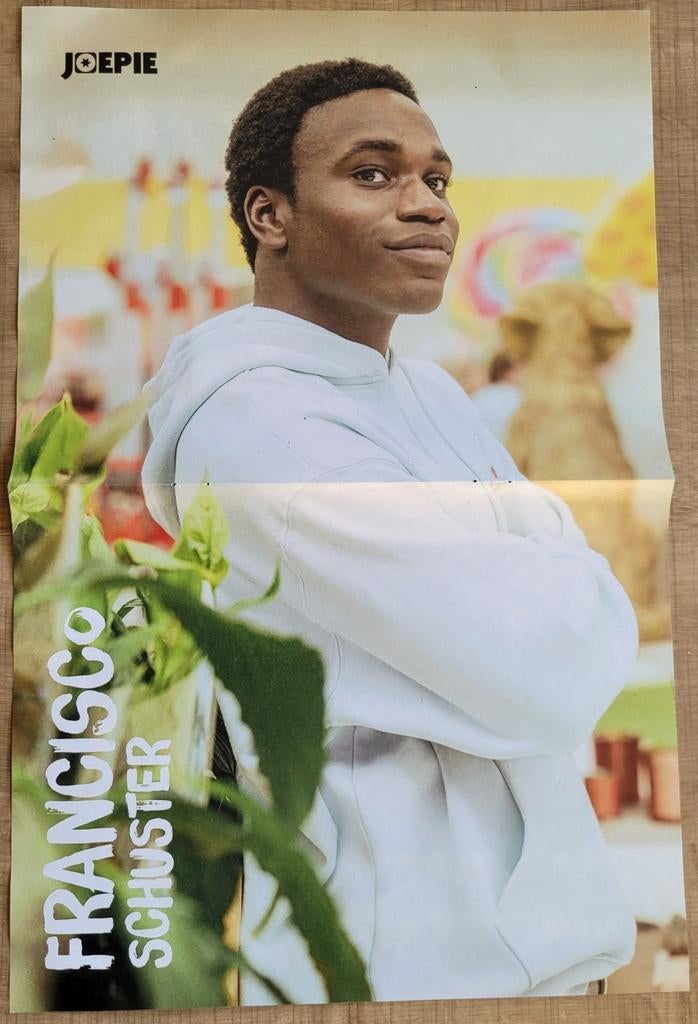 Poster: Francisco Schuster + Acid (Joepie), Verzamelen, Ophalen of Verzenden, Zo goed als nieuw, Poster, Artwork of Schilderij