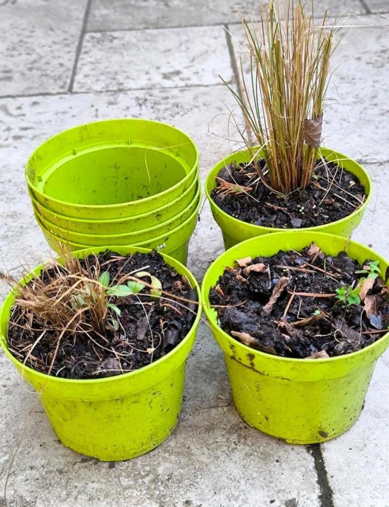 Frisgroene bloempotjes alles samen 2€, Ophalen