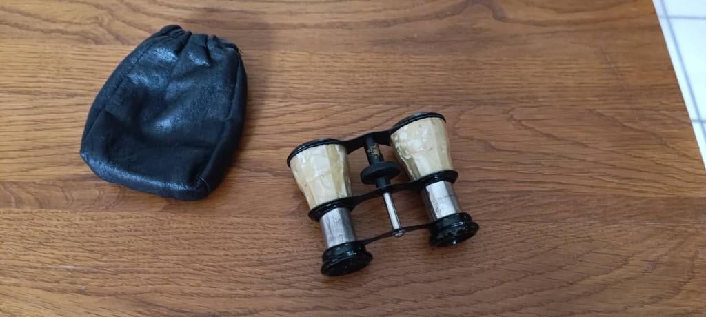 Jumelles de théâtre, Enlèvement