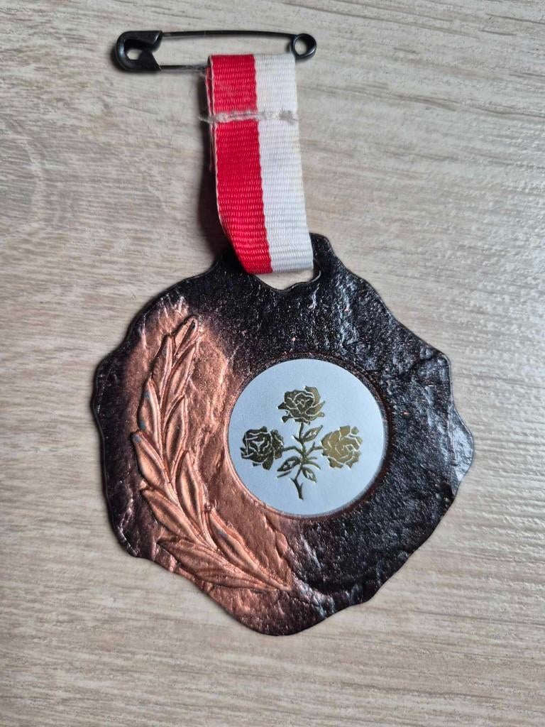 Carnaval medaille Orde der Roos 1993, Timbres & Monnaies, Pièces & Médailles, Enlèvement ou Envoi