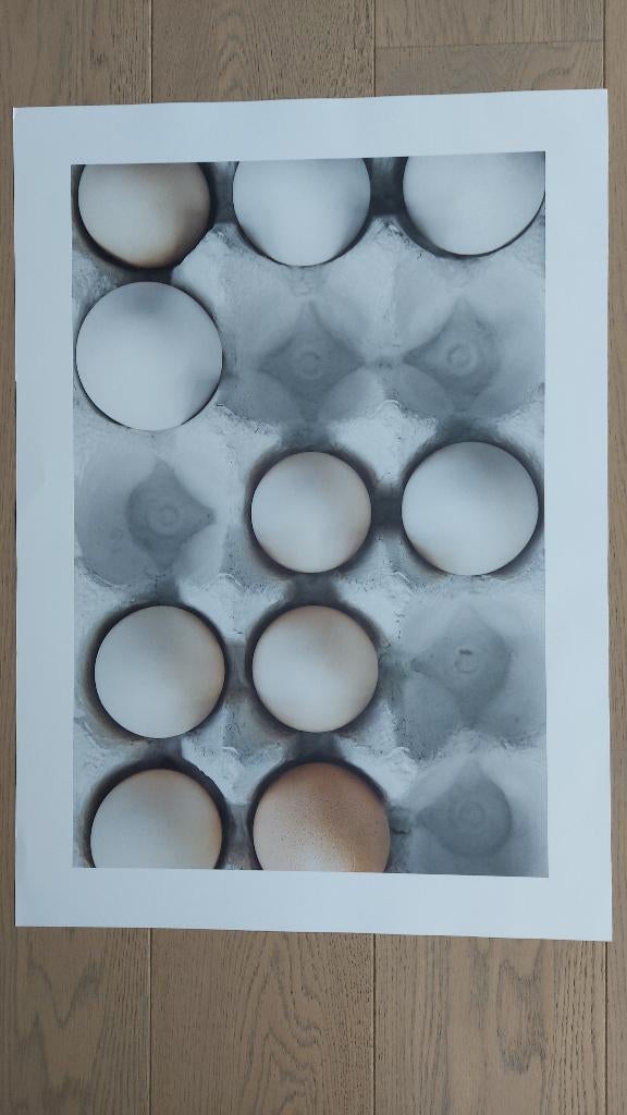 Poster Eggs in a Box, Ophalen, 50 tot 75 cm, Nieuw, Foto of Poster